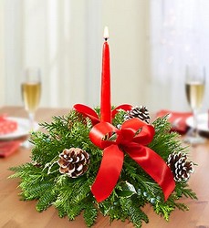 Berry Merry Christmas Davenport Florist - Same Day Flower Delivery - Flower Power 